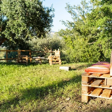 U Saccataro Apartment Ogliastro Cilento