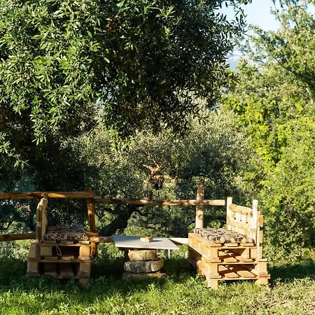 Apartment U Saccataro