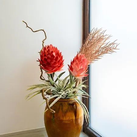 U Saccataro Apartment *